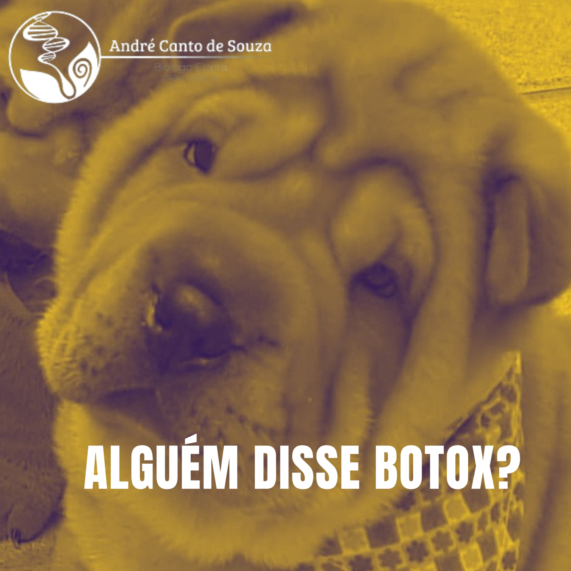 Harmonização Orofacial